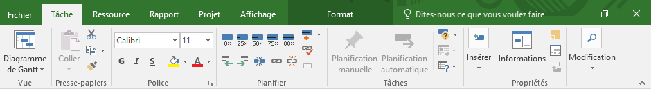 Ruban Microsoft Project