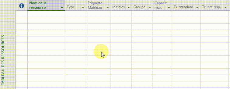 Saisie ressources